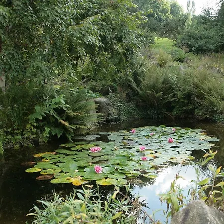 Les De Catherine, La Si Calme Нанси